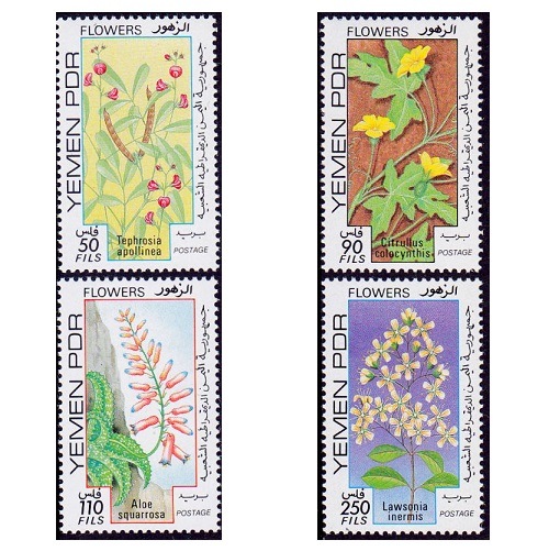 イエメン | ☆外国切手アウトレット☆,植物 | 切手の専門店・ネット