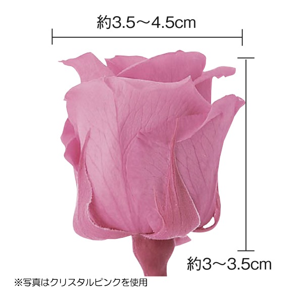 プリザーブドフラワー 『ローズ いずみ カーニバルルージュ 9輪入り