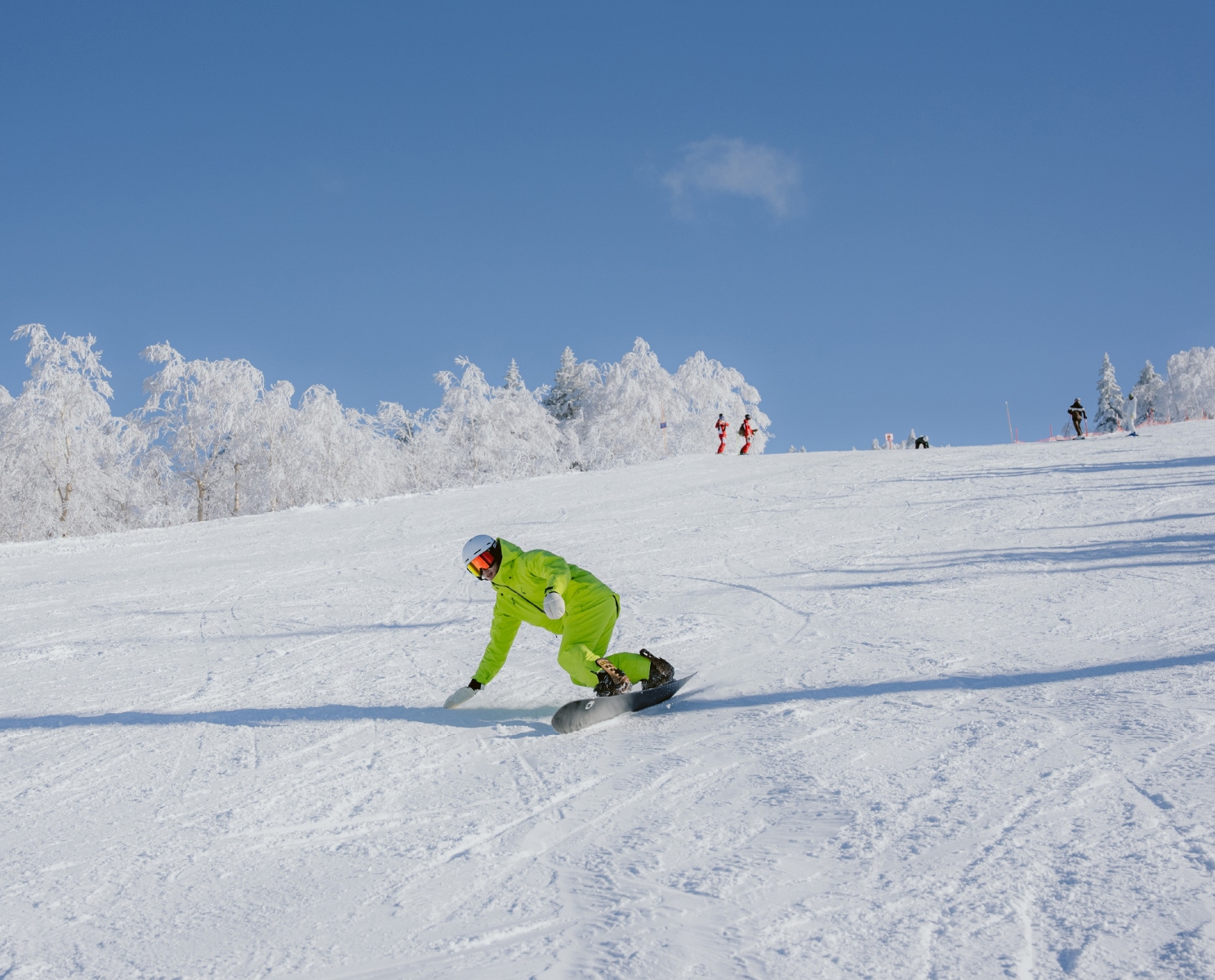 City to Snow Jacket/ZAM24OT01｜ZUICA オンラインショップ