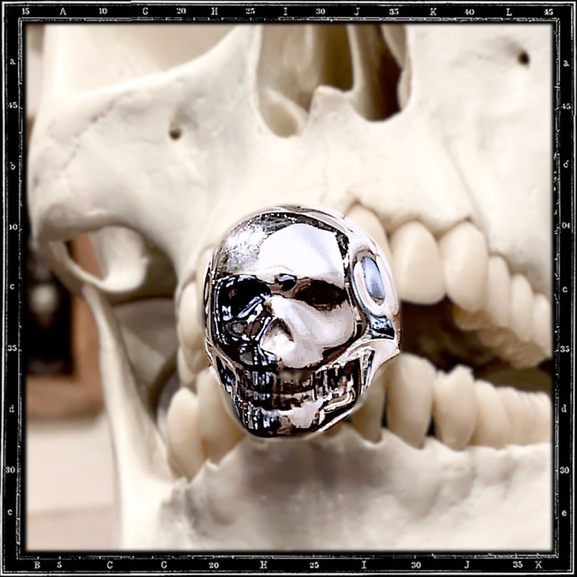 GHOST SKULL RING | クレイジーピッグ公式オンラインストア リング