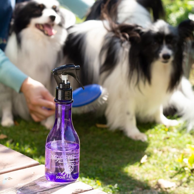 マジックミスト 200ml | マジックミスト | 株式会社EDOGJAPAN