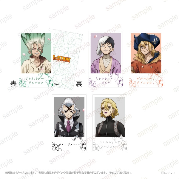 1_000000002545.jpg?1746776794