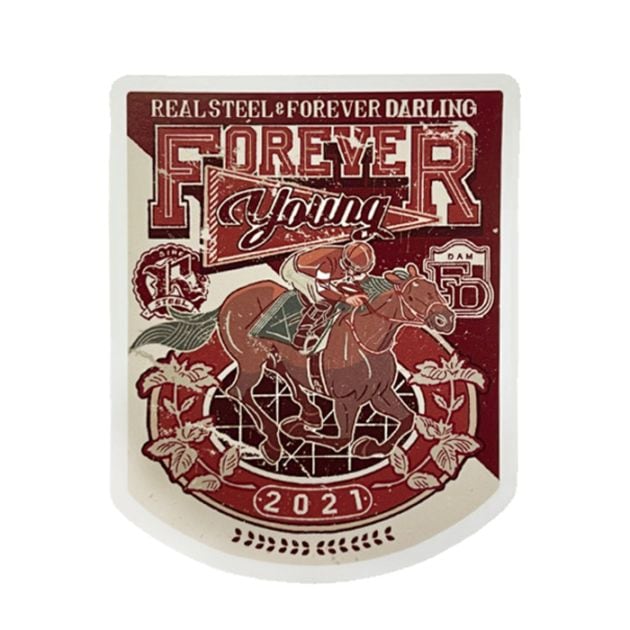 競走馬イラストステッカー【フォーエバーヤング】 | カテゴリー一覧