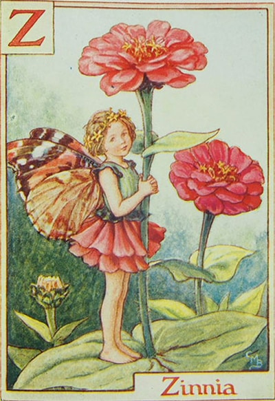 シシリー・メアリー・バーカー 挿画本「花の妖精・アルファベット