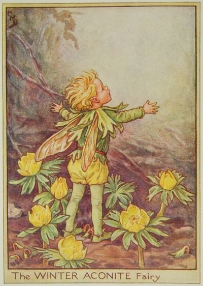 シシリー・メアリー・バーカー 挿画本「花の妖精・庭」 | | アトリエ