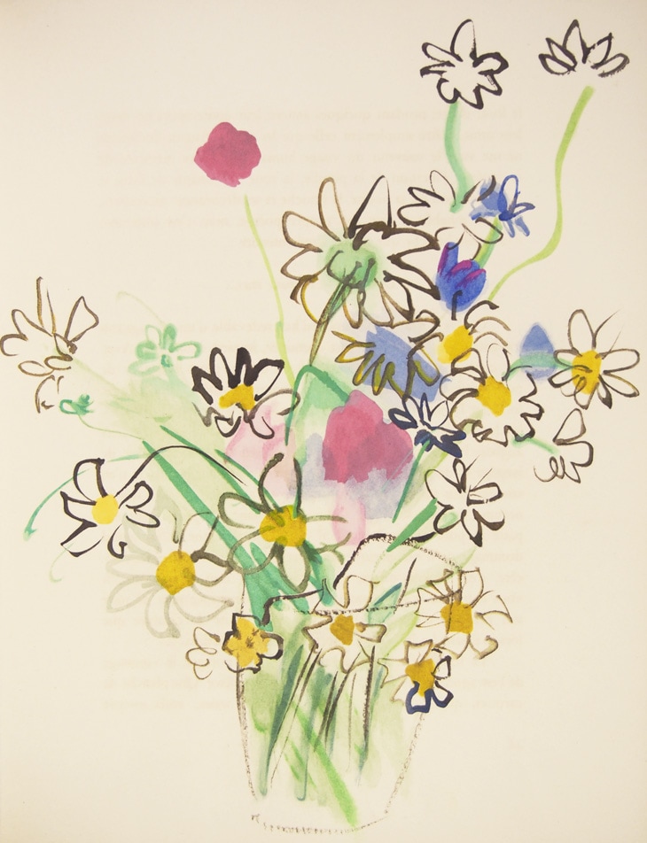 ラウル・デュフィ 挿画本『植物誌』 | | アトリエ・ブランカ