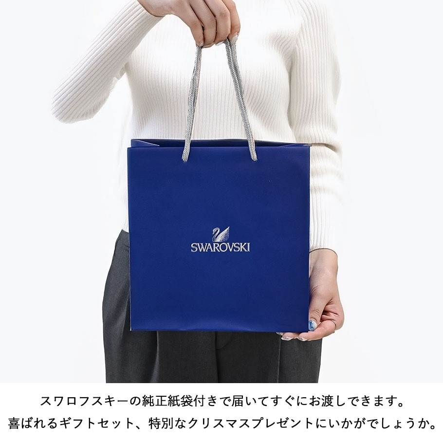 スワロフスキー SWAROVSKI 2022年度限定生産品 クリスマス 3D