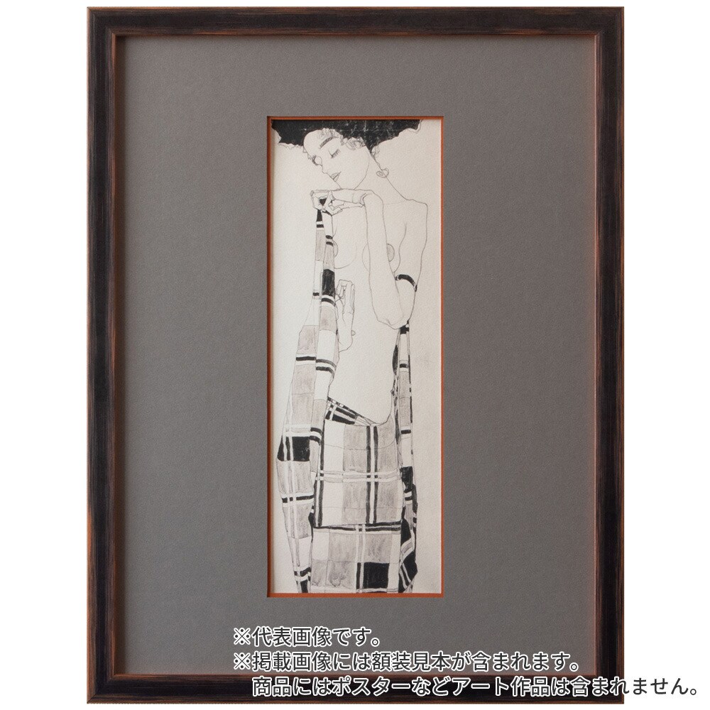 横長額縁 アンドーバー 黒 50×25 額内寸(500×250mm) 表面(アクリル