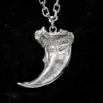 T-16d | すべての商品 | ARIZONA FREEDOM（アリゾナフリーダム）公式サイト