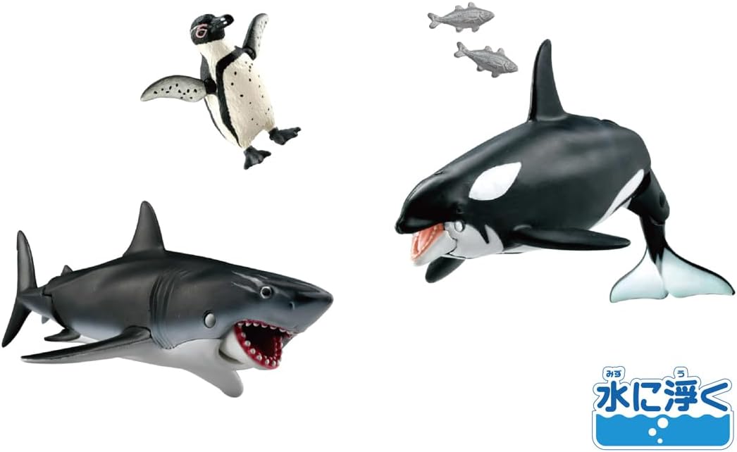 1_000000030516.jpg?1718355303