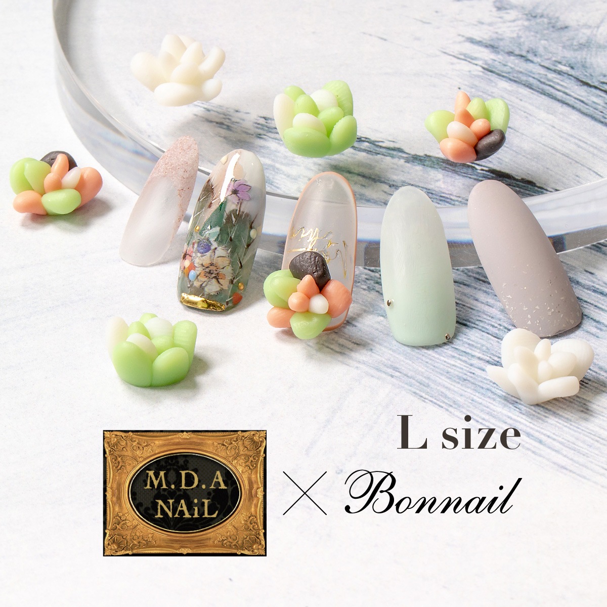 Bonnail×MDANail 多肉ちゃんarizona plants L | BRAND,M.D.A NAiL