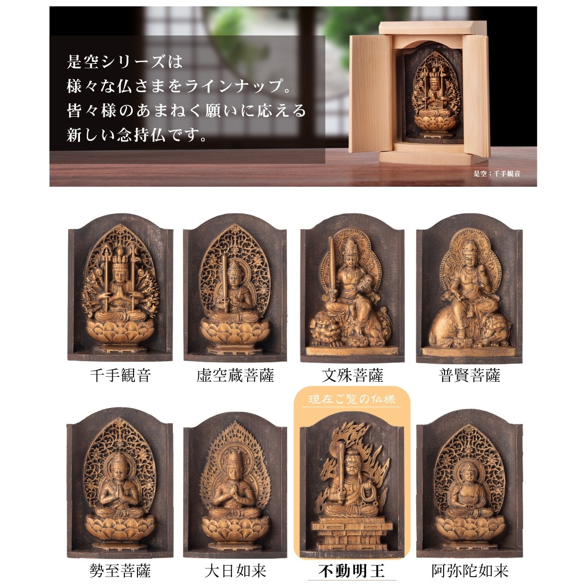 5_000000001141.jpg?1705655390