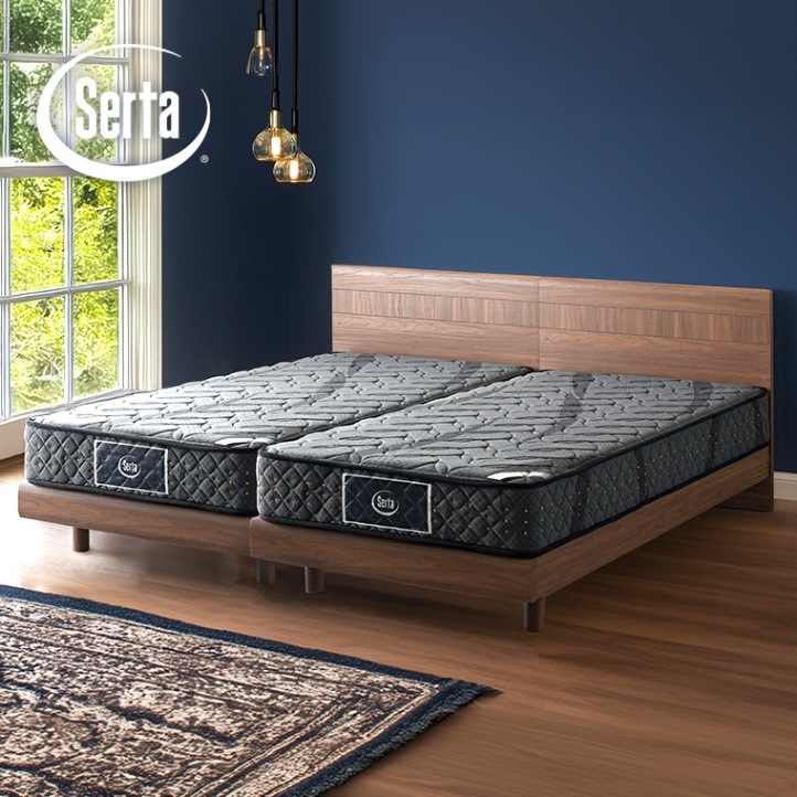 PS＋PSサイズ2台セット】アリウム2231 フラットタイプ アリウム121