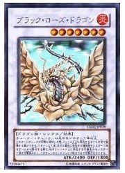 遊戯王 ブラックローズドラゴン ホロ ホログラフィック PSA9鑑定済