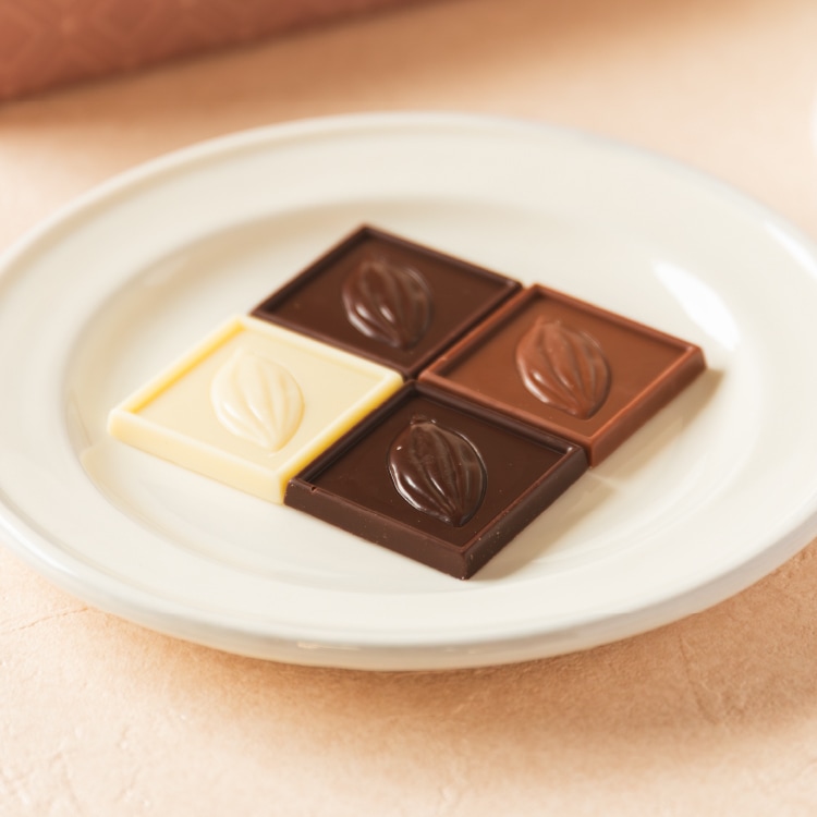 ショコラカレ32枚入 VANILLABEANS公式オンラインショップ