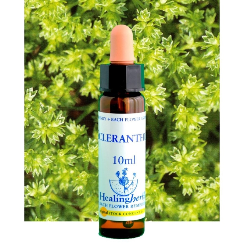 ココモコファイブフラワー30ミリ3本ヒーリングハーブス社