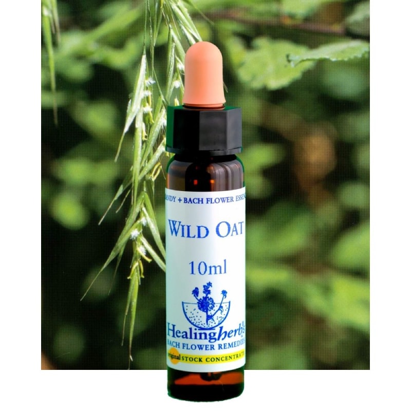 フラワーエッセンス 07 スクレランサス [ヒーリングハーブス] | カリス