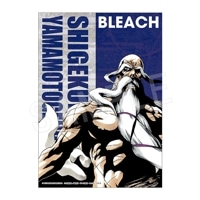 予約】BLEACH B3布ポスター 平子 真子 | は行,BLEACH | Chugaionline