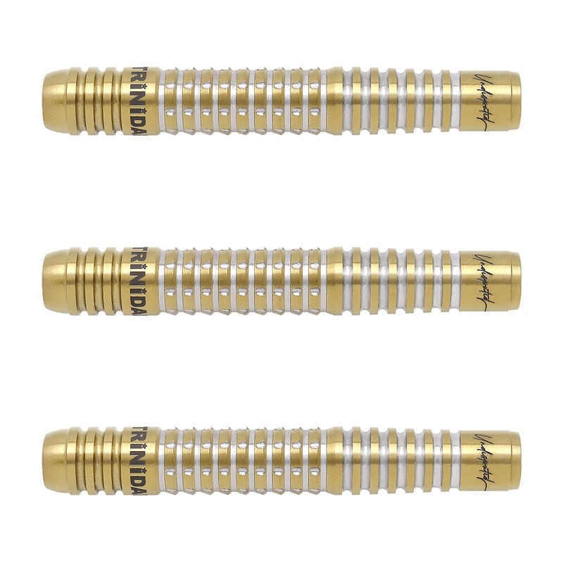 6本TRINIDADトリニダード浅田斉吾RICARDOリカルド定価/29600円 トリニダード RICARDO α リカルドアルファ スティール22g 浅田斉吾選手