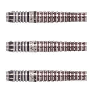 TARGET REBEL REBORN GT 2BA 後藤智弥 ダーツ > ソフトダーツ > ブランド【タ行】 > ターゲットジャパン