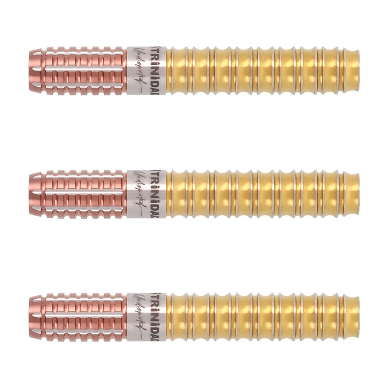 トリニダード　キッド　タイプ3 エボ ダーツ > ソフトダーツ > ブランド【タ行】 > トリニダード > TRiNiDAD