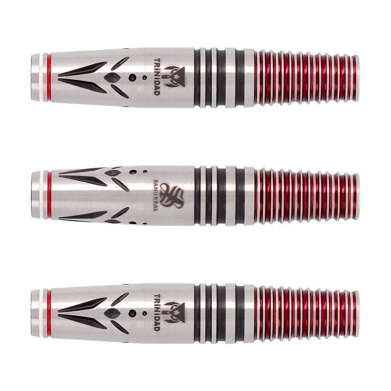 ダーツ バレル トリニダード×サングリアル ヴァルス エスダーツ限定モデル バレル【トリニダード】リカルド 浅田斉吾モデル エスダーツ限定モデル