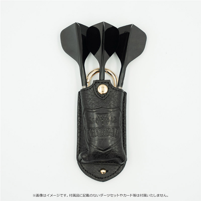 【値下げ】TRiNiDADトリニダード　ソフトダーツ　ケースセット フルセット ダーツケース > ブランド【タ行】 > トリニダード > TRiNiDAD