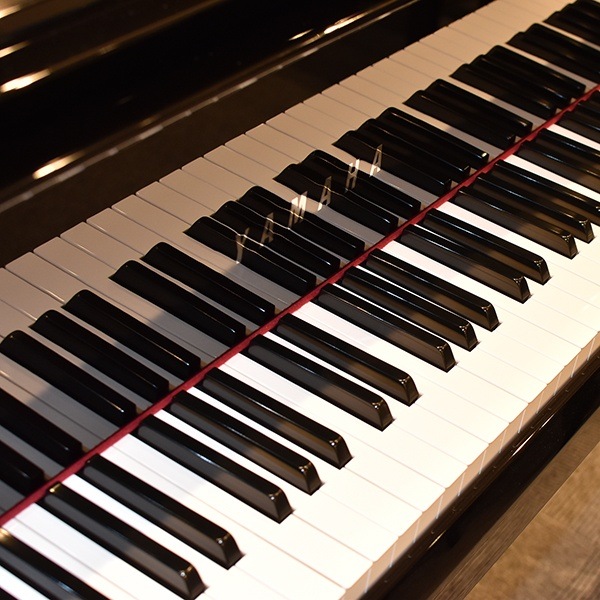 YAMAHA AvantGrand N1