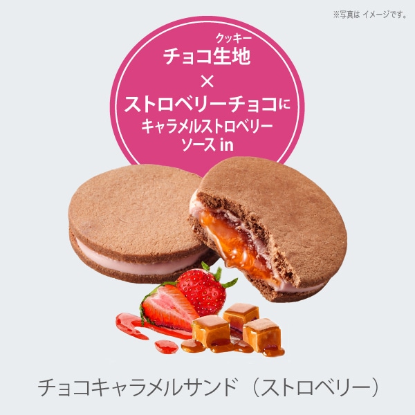 森のスイーツ工房セレクト（15個入）SS23-25D【ファクトリーシン公式