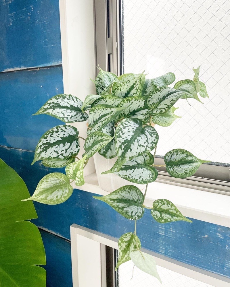 垂れるスキンダプサス|おしゃれなフェイクグリーン・人工観葉植物通販