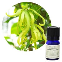 フレーバーライフ】イランイラン｜エッセンシャルオイル（精油・アロマ