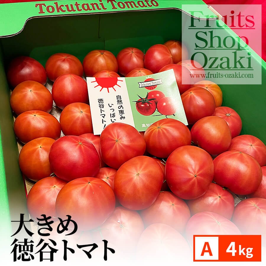 premium tokutani52 | 春 Spring fruits,徳谷トマト | | フルーツ