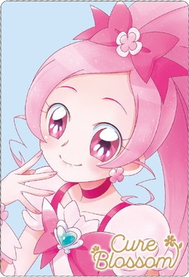 No.16 キュアブロッサム HR (2583147) プリキュアカードウエハース4
