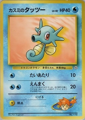 PK-PMCGPG1K カスミのタッツーLV.10 【ハナダシティジム カスミ