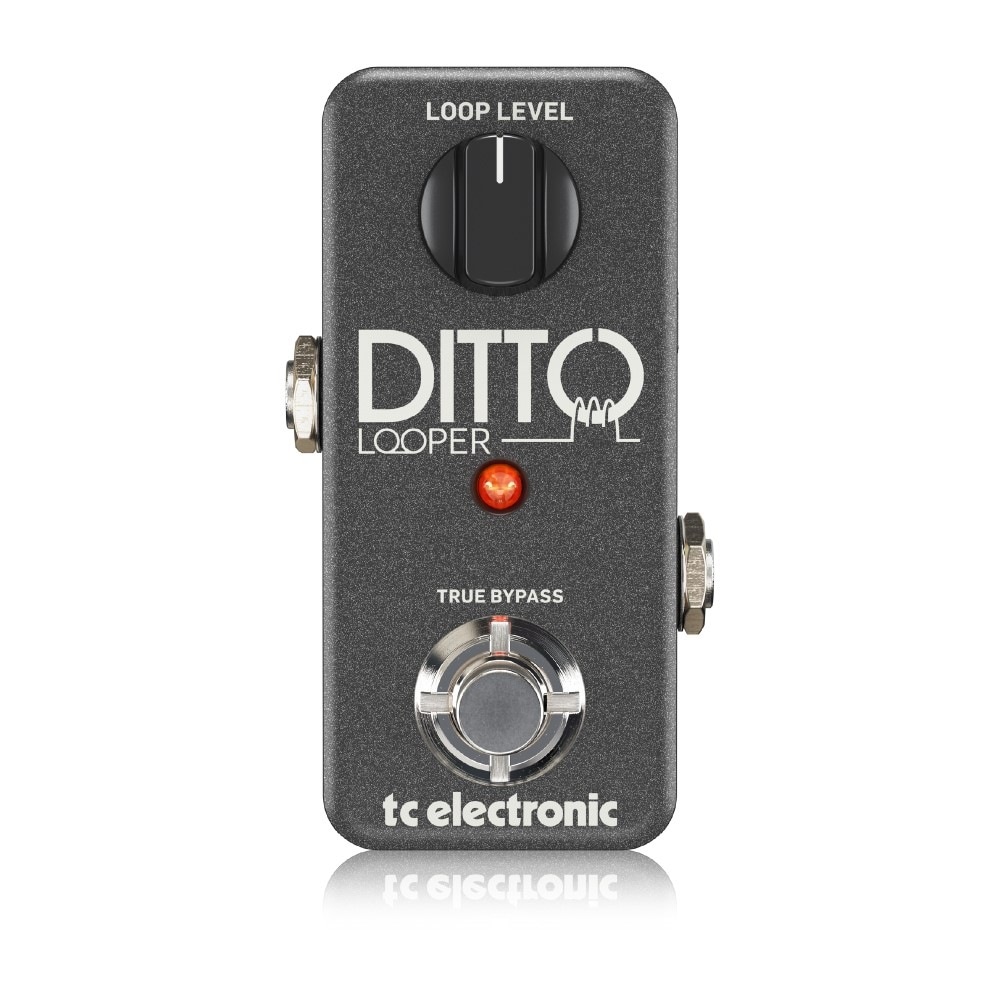 TC ELECTRONIC DITTO LOOPER ルーパー Hibino.com (ヒビノ公式ECサイト