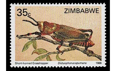 1988年 昆虫切手 4種セット ジンバブエ発行 | 切手,アフリカ | 趣味の
