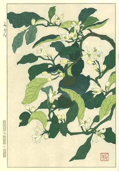木版画のことなら『木版画 版元 芸艸堂 Woodblock print』
