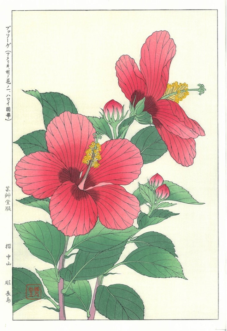 木版画のことなら『木版画 版元 芸艸堂 Woodblock print』