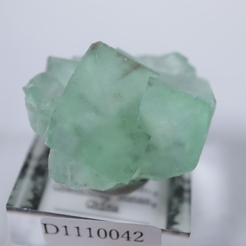 シャンファーリン産 蛍石 | 鉱物標本,ハ行,フローライト/蛍石,フロー