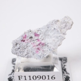 ブラジル産 アクアマリン | 鉱物標本,ハ行,ベリル/緑柱石 | ほたるみ