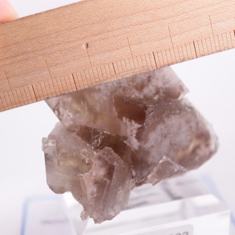 Sherry Twins Pocket フローライト | 鉱物標本,ハ行,フローライト/蛍石