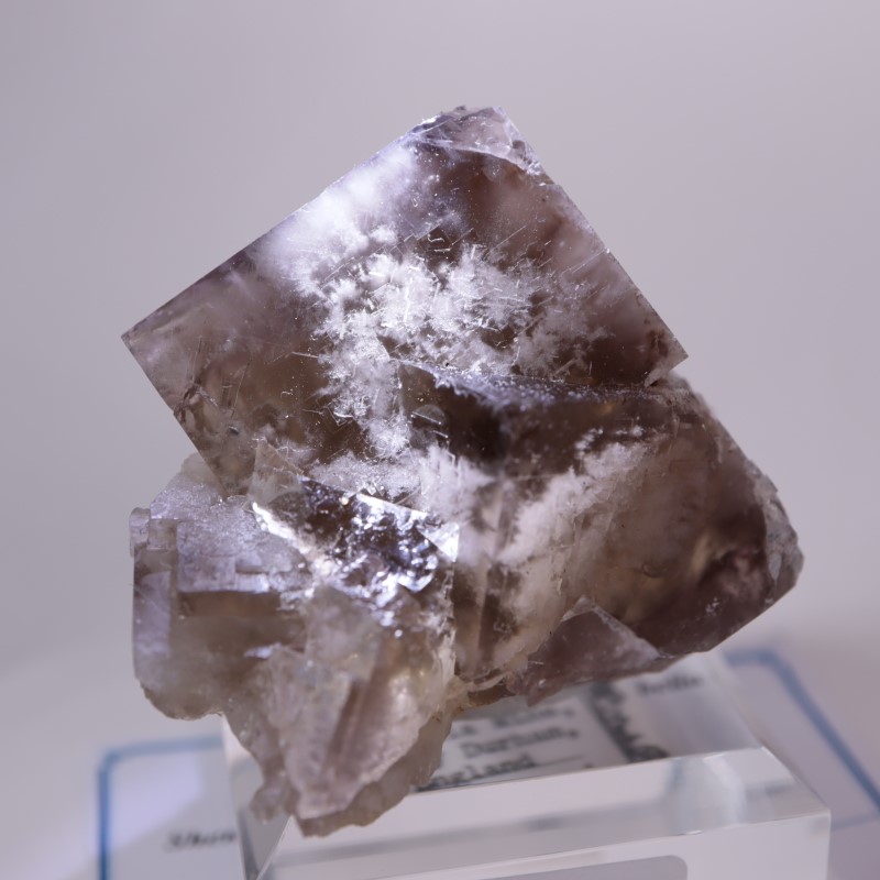 Sherry Twins Pocket フローライト | 鉱物標本,ハ行,フローライト/蛍石