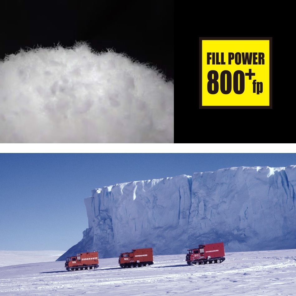 10%OFF！ファミリーセール！】再入荷【BLUE PORT x ZANTER】EXPLORER