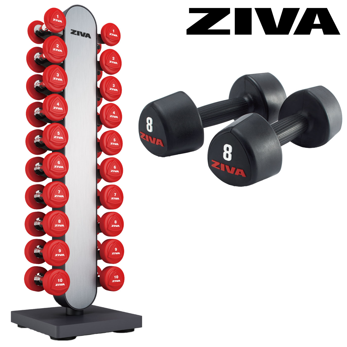 ラバースタジオトライベル10ペア＋スタジオダンベルラックセット（1kg