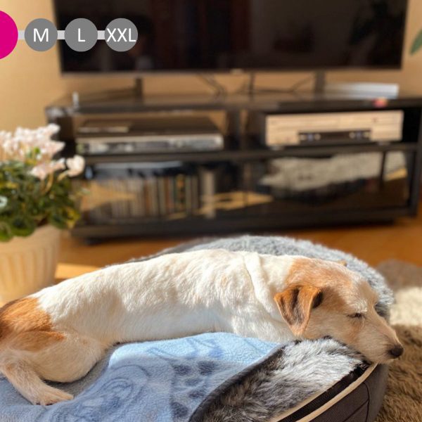 犬ペットラウンジ グレー/ウルフグレー | ギフト・雑貨 | イズミ