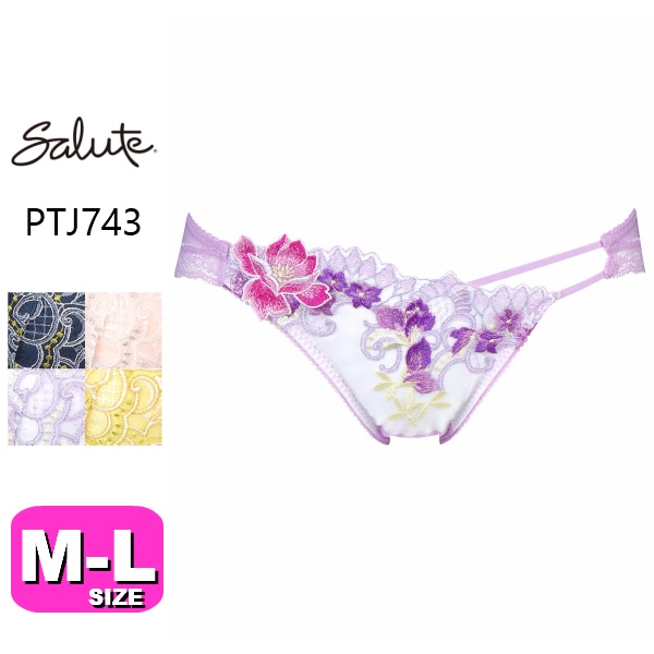 39%OFF【SALE/セール】ワコール wacoal サルート salute BTJ443（43