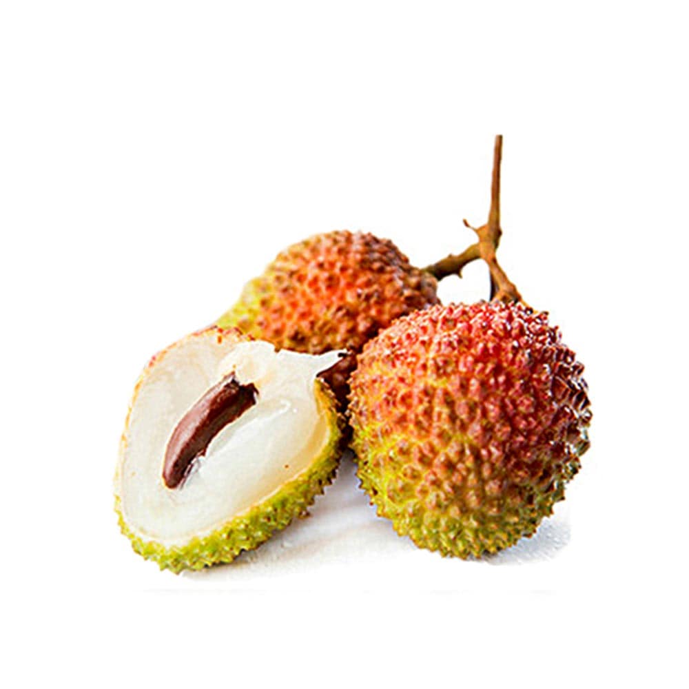 ライチの苗木 玉荷包(ぎょくかほう)【果樹の苗木 13.5cm 取り木苗／1個