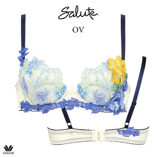 ワコール サルート 06G ブラジャー BTJ406 3/4カップワイヤー P-up