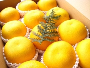 超レアな桃CX（シーエックス）。超熟の高糖度桃CX！