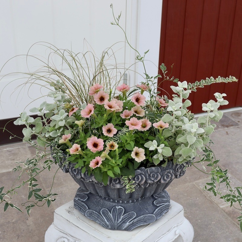 5_000000007588.jpg?1729961516